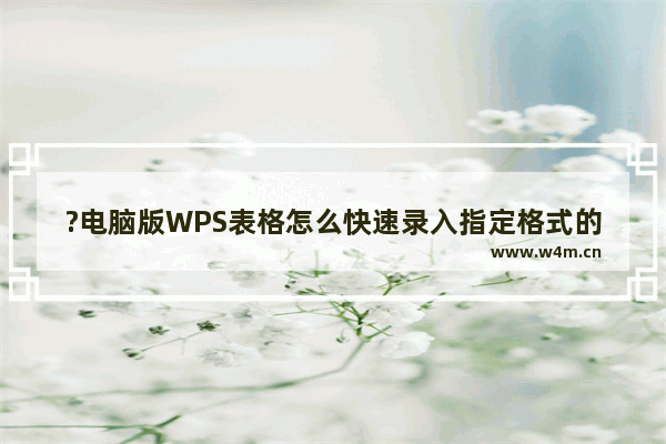 ?电脑版WPS表格怎么快速录入指定格式的当前日期