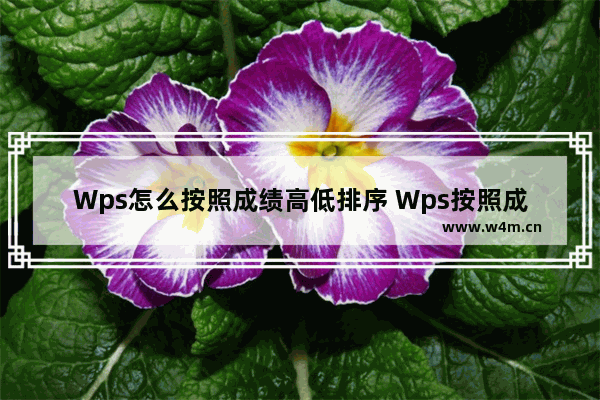 Wps怎么按照成绩高低排序 Wps按照成绩高低排序操作方法