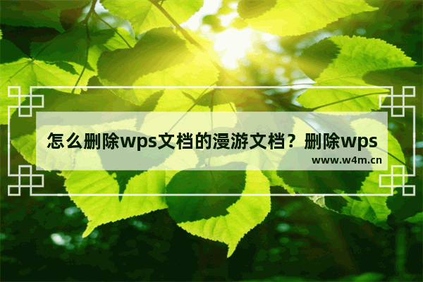 怎么删除wps文档的漫游文档？删除wps文档漫游文档的方法