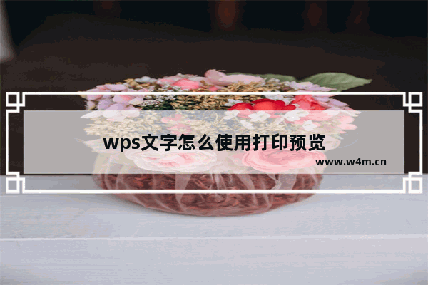 wps文字怎么使用打印预览