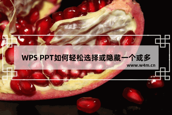 WPS PPT如何轻松选择或隐藏一个或多个特定元素