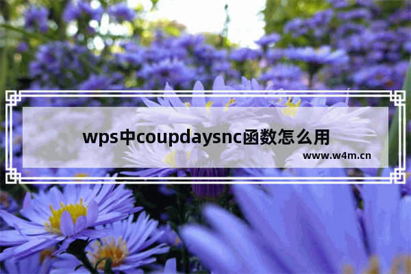 wps中coupdaysnc函数怎么用