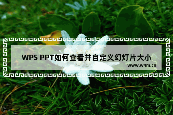 WPS PPT如何查看并自定义幻灯片大小