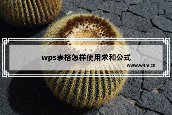 wps表格怎样使用求和公式