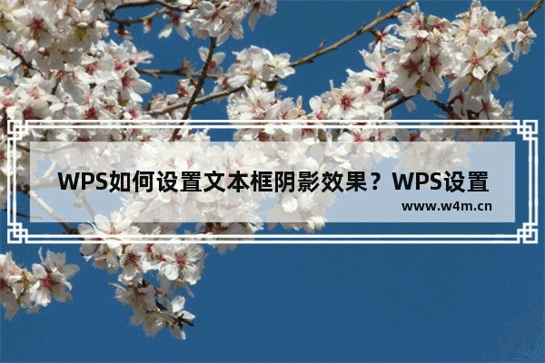 WPS如何设置文本框阴影效果？WPS设置文本框阴影效果的方法