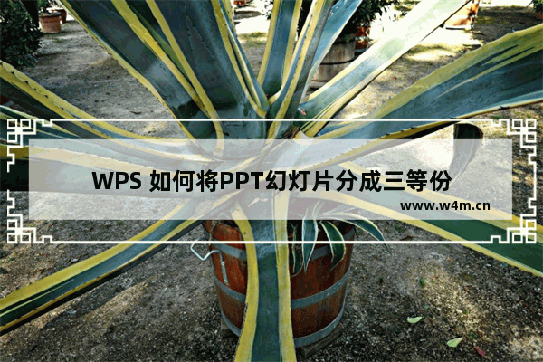 WPS 如何将PPT幻灯片分成三等份