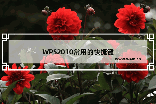 WPS2010常用的快捷键