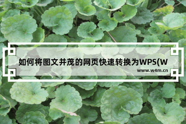 如何将图文并茂的网页快速转换为WPS(WORD)文档