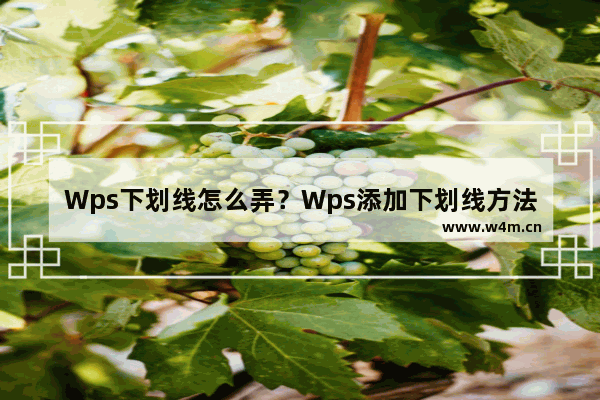 Wps下划线怎么弄？Wps添加下划线方法教学