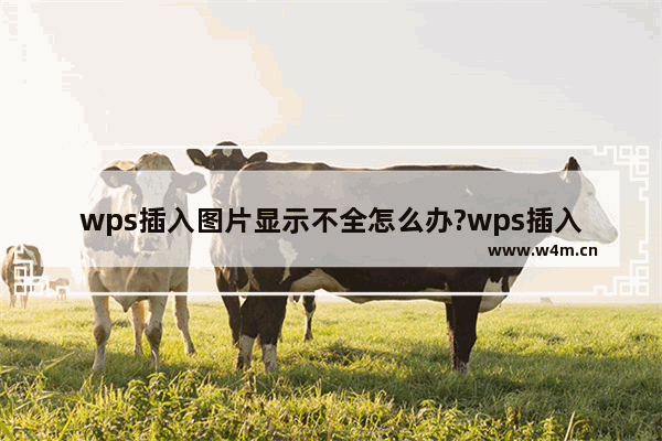 wps插入图片显示不全怎么办?wps插入图片显示不全的解决办法