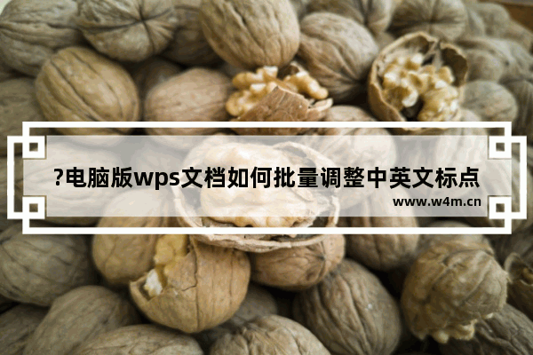 ?电脑版wps文档如何批量调整中英文标点符号