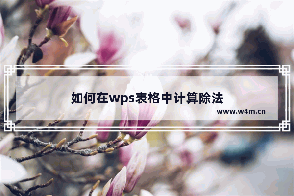 如何在wps表格中计算除法