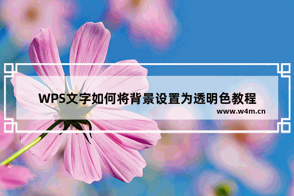 WPS文字如何将背景设置为透明色教程