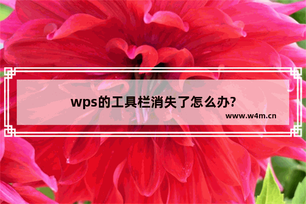 wps的工具栏消失了怎么办?