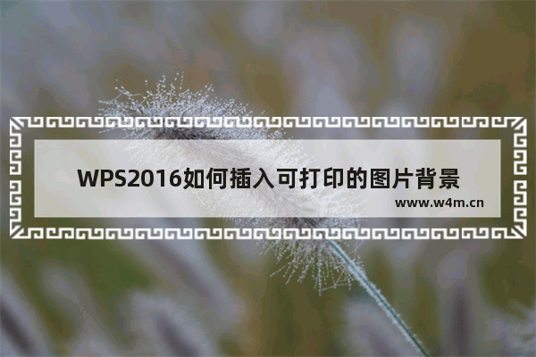 WPS2016如何插入可打印的图片背景