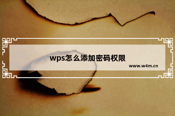 wps怎么添加密码权限