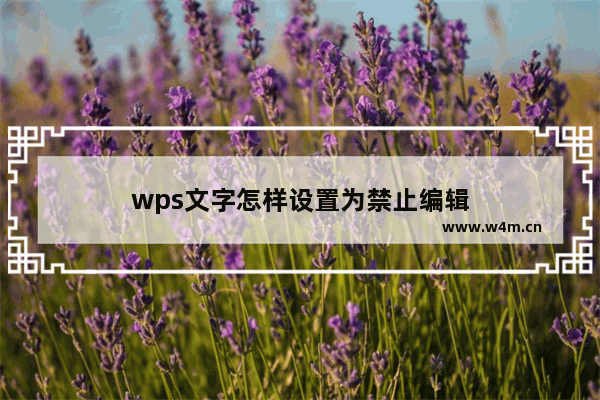 wps文字怎样设置为禁止编辑