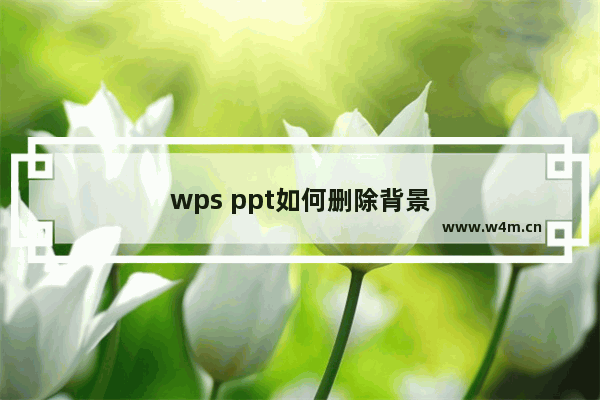 wps ppt如何删除背景