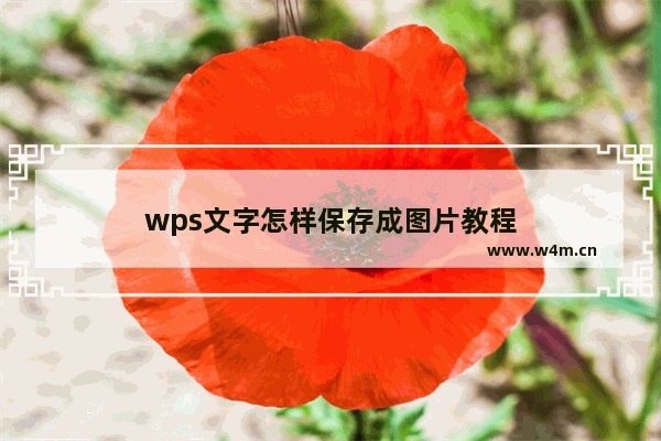 wps文字怎样保存成图片教程