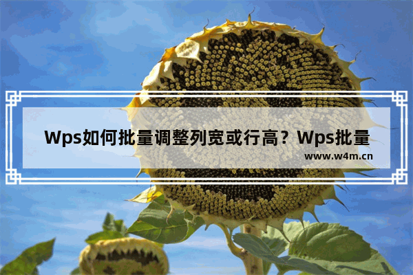 Wps如何批量调整列宽或行高？Wps批量调整列宽或行高的方法