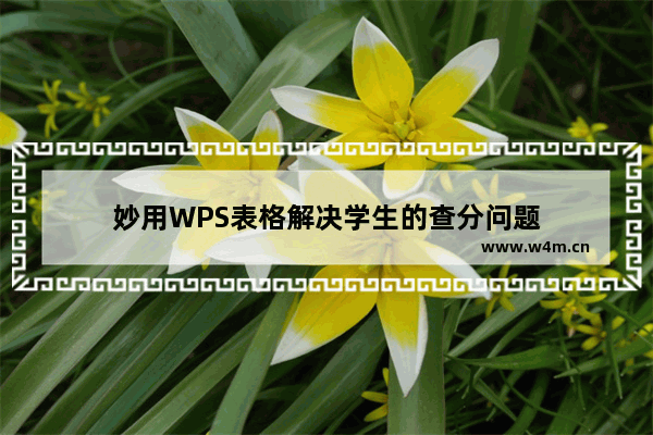 妙用WPS表格解决学生的查分问题