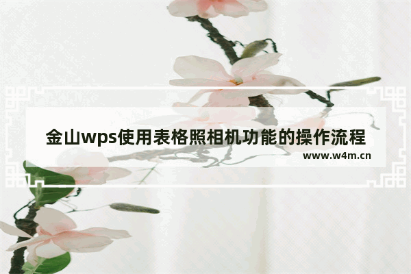 金山wps使用表格照相机功能的操作流程