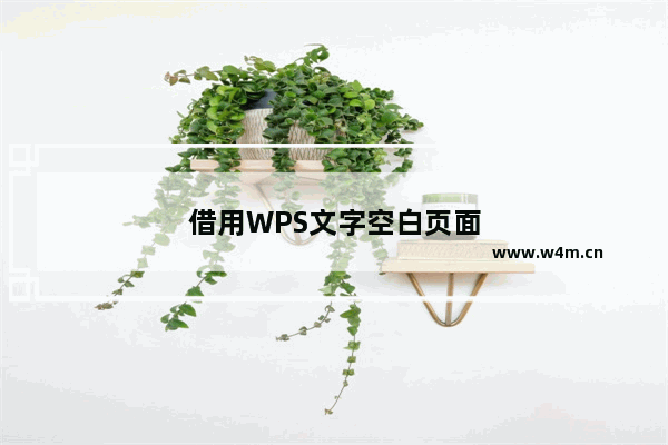 借用WPS文字空白页面