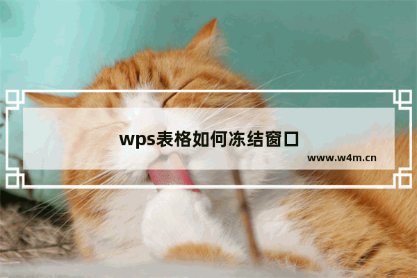 wps表格如何冻结窗口