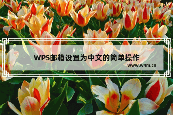 WPS邮箱设置为中文的简单操作