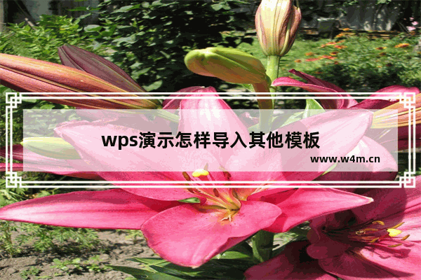 wps演示怎样导入其他模板