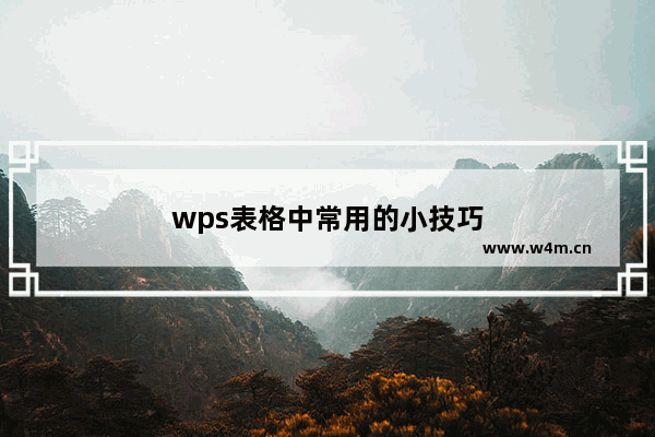 wps表格中常用的小技巧