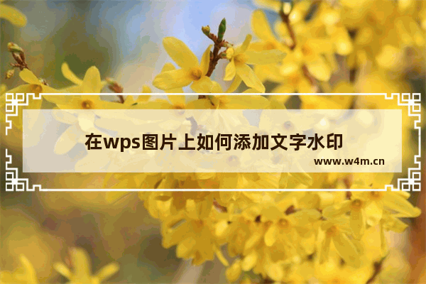 在wps图片上如何添加文字水印