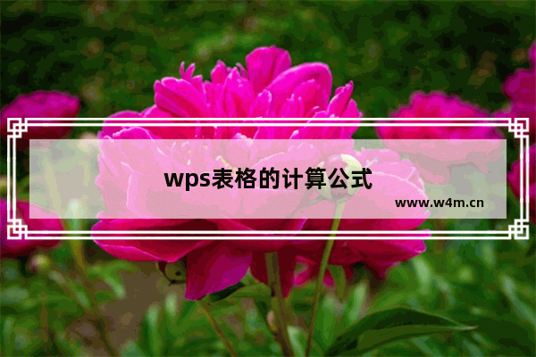 wps表格的计算公式