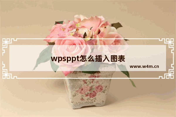 wpsppt怎么插入图表