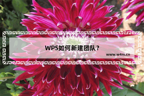 WPS如何新建团队？