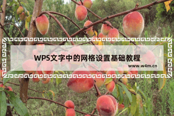 WPS文字中的网格设置基础教程