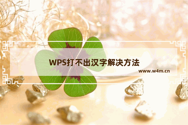 WPS打不出汉字解决方法