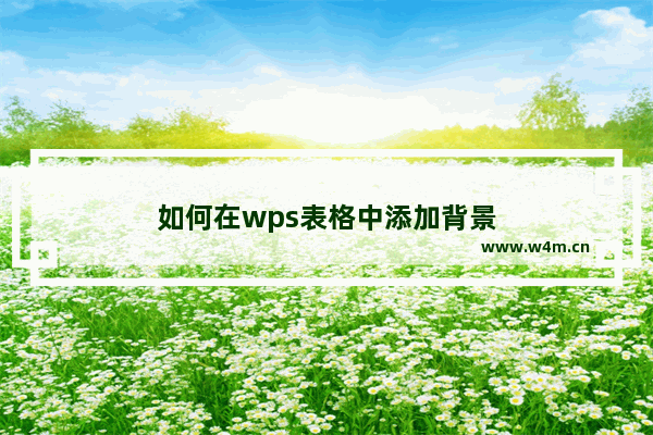 如何在wps表格中添加背景