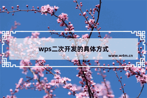 wps二次开发的具体方式