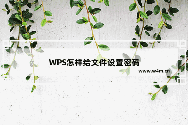 WPS怎样给文件设置密码