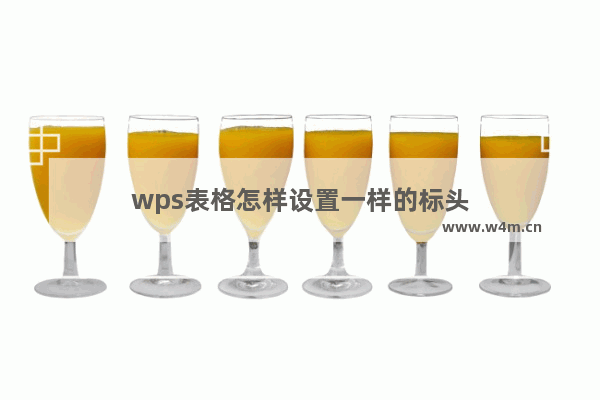 wps表格怎样设置一样的标头