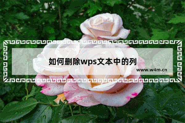 如何删除wps文本中的列