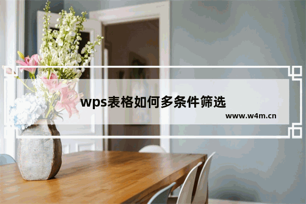 wps表格如何多条件筛选