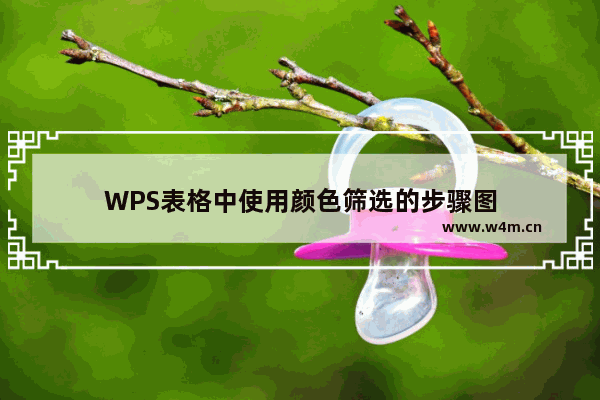 WPS表格中使用颜色筛选的步骤图