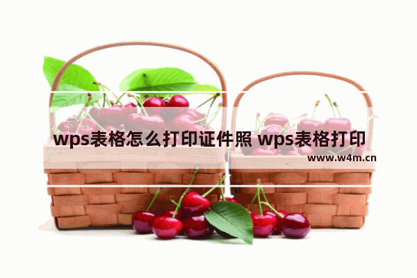 wps表格怎么打印证件照 wps表格打印证件照的方法