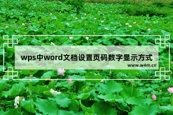 wps中word文档设置页码数字显示方式的操作方法