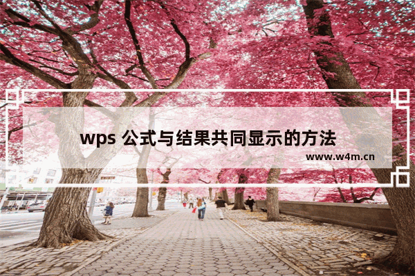 wps 公式与结果共同显示的方法