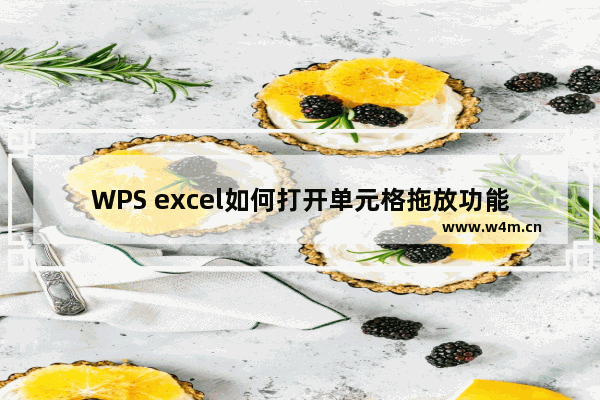 WPS excel如何打开单元格拖放功能