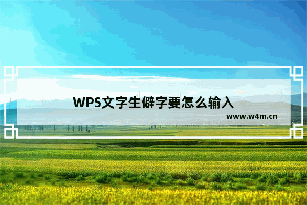 WPS文字生僻字要怎么输入