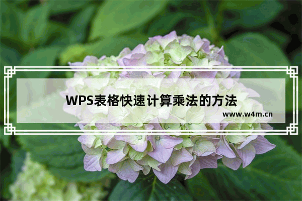 WPS表格快速计算乘法的方法